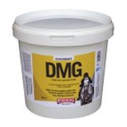 Диметилглицин (Dimethyl Glycine Pure) арт.628. Контейнер 1 кг.